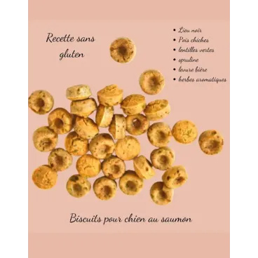 Biscuits Naturels pour Chien au Saumon & Lentilles Corail - Sans Gluten - Crocandiz