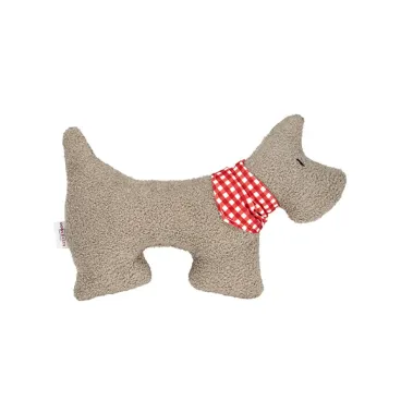 Fred Paddy avec foulard rouge vichy – Image de couverture