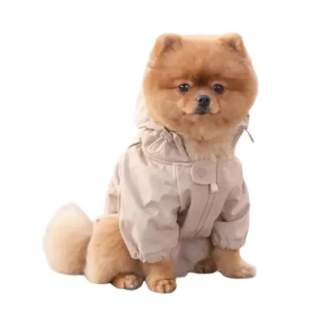 Imperméable pour petit chien beige - Bella Concept Store Dog