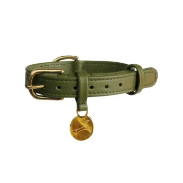 Collier pour chien en cuir kaki avec boucle dorée – the Dog musthave x Bella Concept Store Dog