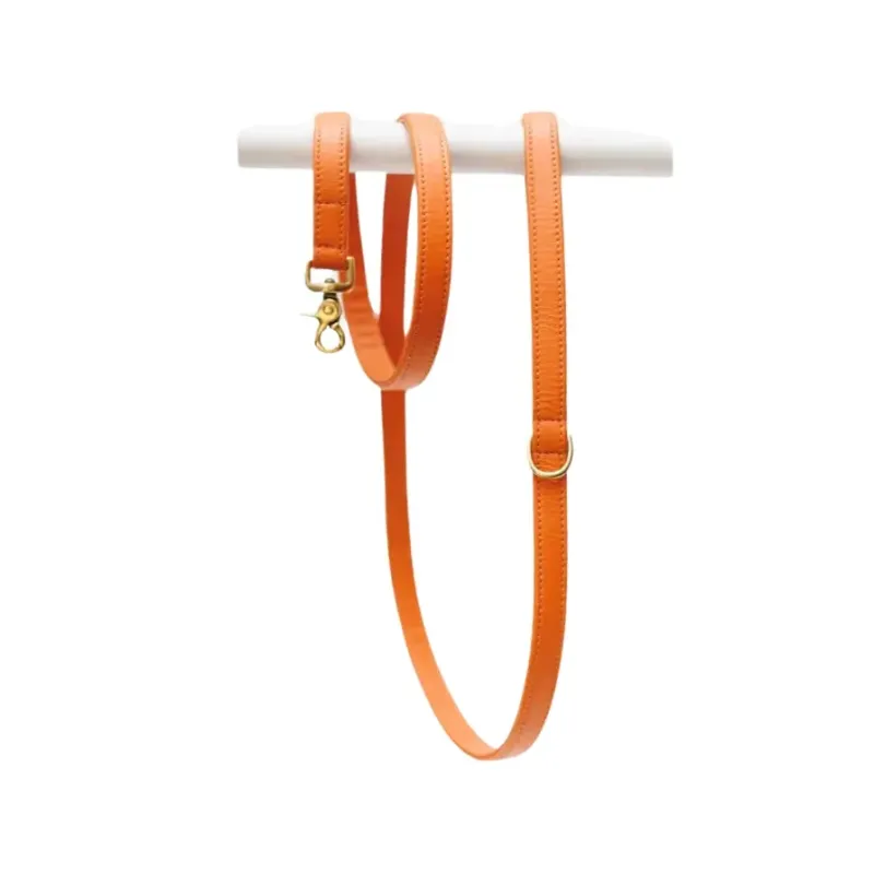 Laisse pour Chien en Cuir Véritable Orange - Finition Laiton Laisse pour Chien en Cuir Véritable Orange - Finition Laiton
