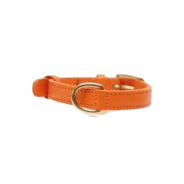 Collier pour chien en véritable cuir orange - vue de face