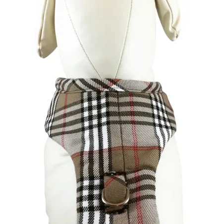 Harnais martingale à carreaux pour chien – Vue de face sur mannequin