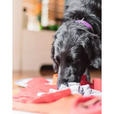 Tapis de Fouille à Renifler pour Chien 105X70 cm - Stimulation Mentale, Anti- Glouton & Lavable - Snuffle