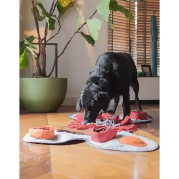 Chien utilisant le tapis à renifler Snuffie dans un intérieur cosy – enrichissement quotidien