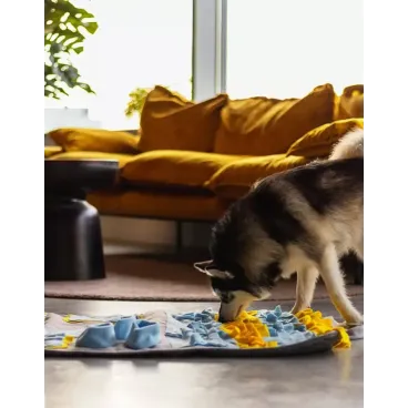 Tapis de Fouille Snuffle pour Chien - jeu d'Occupation 100x65 cm