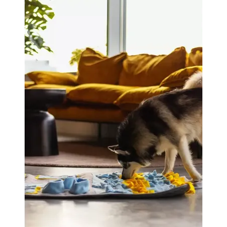 Tapis de Fouille Snuffle pour Chien - jeu d'Occupation 100x65 cm