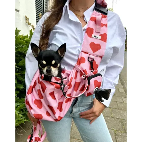 Sac de Transport Amore pour Petit Chien - Bandoulière Réglable et Élégante