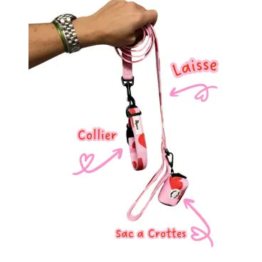 Ensemble Amore – Collier, Laisse & Sac à Crottes motif cœur