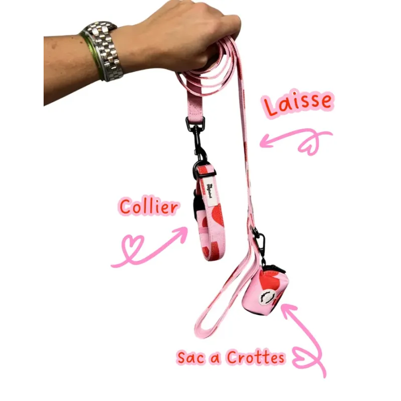 Ensemble 3 Pièces Amore pour Chien - Collier, Laisse, Sac à Crottes Ensemble 3 Pièces Amore pour Chien - Collier, Laisse, Sac à Crottes
