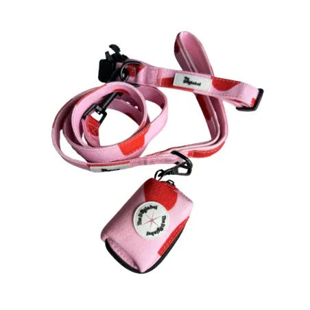 Ensemble 3 Pièces Amore pour Chien - Collier, Laisse, Sac à Crottes