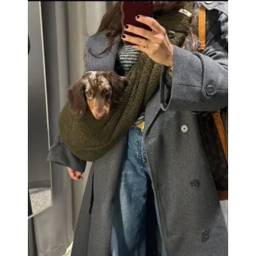 Sortie en ville avec le sac bandoulière Teddy kaki pour chien