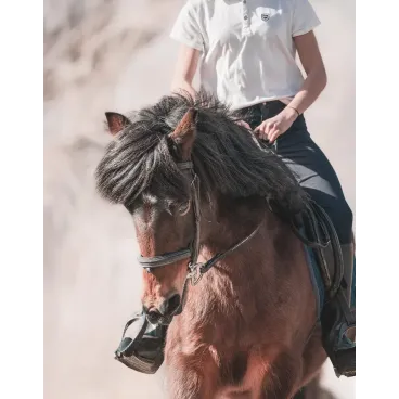 Shooting Photo Animalier en Corse – Marina Scaglia x Bella Concept Dog