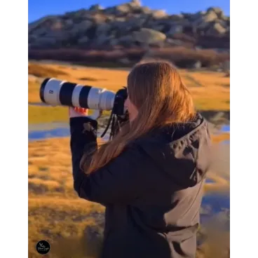 Shooting Photo Animalier en Corse – Marina Scaglia x Bella Concept Dog