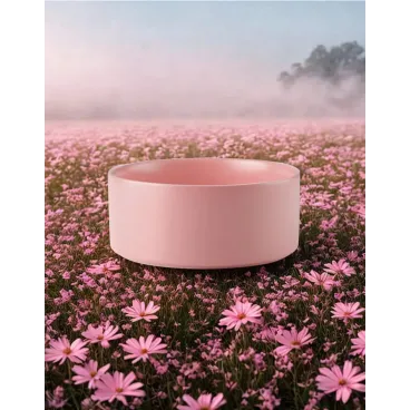 Gamelle Céramique Rose pour Chien et Chat | Élégance & hygiène | Bella Concept Store Dog