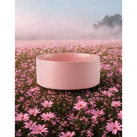 Gamelle Céramique Rose pour Chien et Chat | Élégance & hygiène | Bella Concept Store Dog