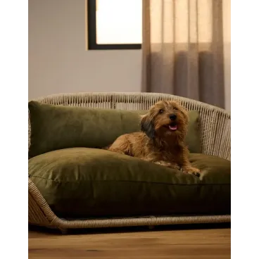 Panier design pour chien Vogue Oxford olive - LABONI