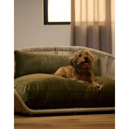 Panier design pour chien Vogue Oxford olive - LABONI