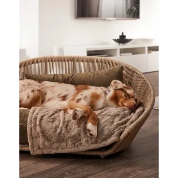 Chien qui dort paisiblement dans le lit Vogue Oxfort Laboni