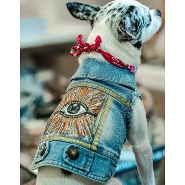 Veste en jean pour chien – Modèle L’Ochju Turchinu porté – Créazione by Nono – Made in Corse