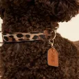 Collier Léopard pour Chien – Studio Nala Collier Léopard pour Chien – Studio Nala