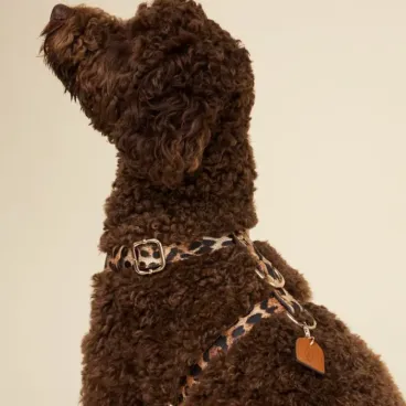 Détail du harnais Léopard en cuir vegan PU