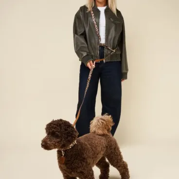 Chien avec laisse léopard Studio Nala en promenade