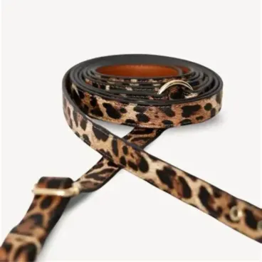 Zoom détail texture laisse léopard chien