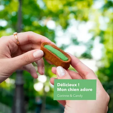 friandise-bucco-dentaire-chien-delamour-anti-tartre-naturel