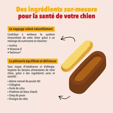 patisserie-chien-renfort-immunitaire-delamour