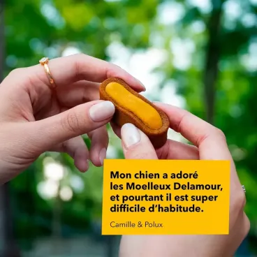 friandise-artisanale-chien-delamour