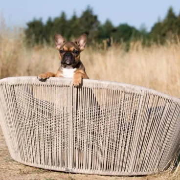 Lit pour chien Vogue Oxford stone - LABONI