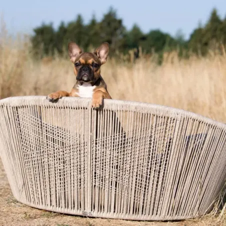 Lit pour chien Vogue Oxford stone - LABONI