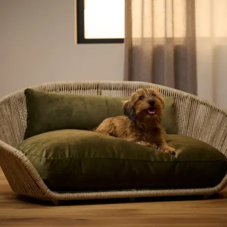Lit pour chien Vogue Oxford olive - LABONI