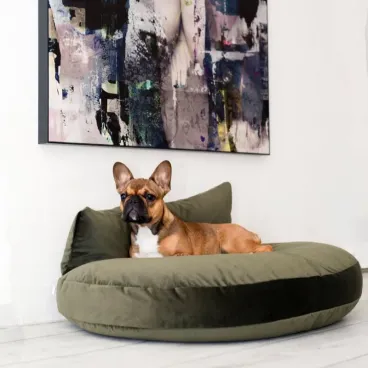 Lit design Laboni pour chien - Coloris olive en situation