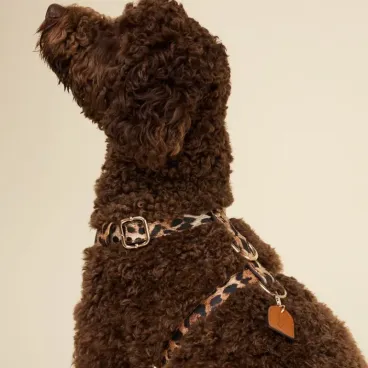 harnais-leopard-cuir-vegan-detail-matiere