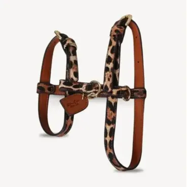 harnais-chien-leopard-luxe