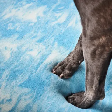 Housse amovible et lavable du Lit Orthopédique pour Chien ORTHO – BELLAGIO