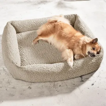 Chien se reposant confortablement dans le Lit Orthopédique ORTHO – BELLAGIO LABONI