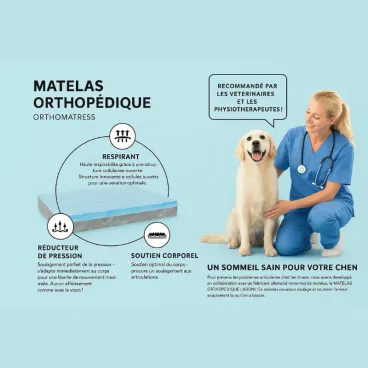 Lit ORTHO – BELLAGIO LABONI - confort orthopédique et soutien articulaire