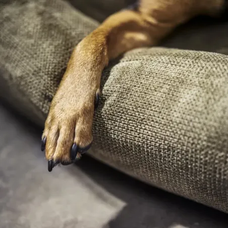 Panier pour chien Tubor classique kaki - LABONI