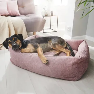 Panier LABONI TUDOR Rose – Couchage robuste et raffiné pour chien