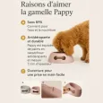 Gamelle antidérapante rose Pappy pour chien - Stabilité & confort Gamelle antidérapante rose Pappy pour chien - Stabilité & confort