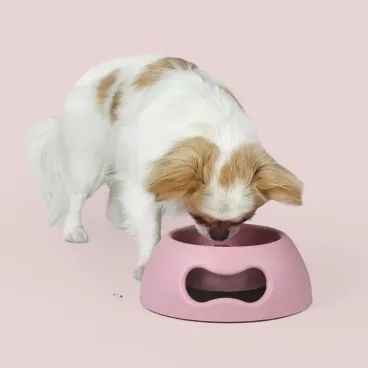Vue intérieur de la gamelle Pappy rose