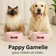 Gamelle antidérapante rose Pappy pour chien - Stabilité & confort Gamelle antidérapante rose Pappy pour chien - Stabilité & confort
