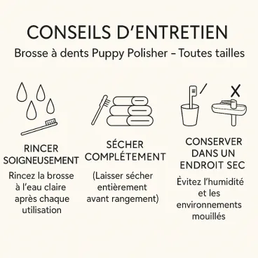 Conseils d'entretien de la brosse à dents pour chien -Wag and brigth