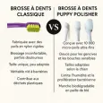 Brosse à dents écologique pour chien & chiot