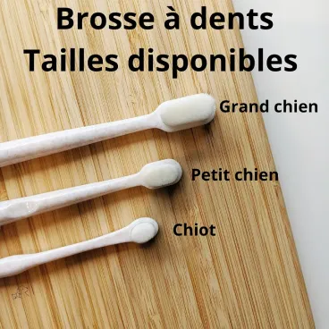 Brosse à dents tailles disponibles pour chiens, chat et chiot