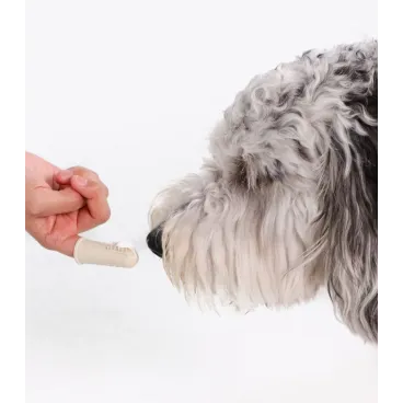 Brosse à dents doigtier en silicone pour chien, chiot & chat - Wag & Bright