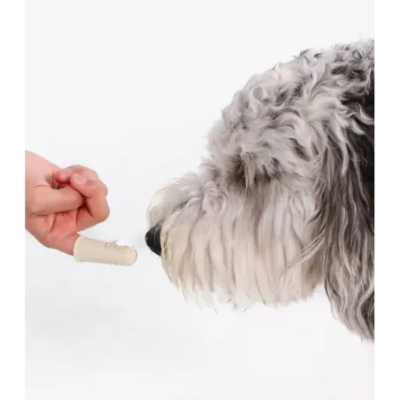 Brosse à dents doigtier en silicone pour chien, chiot & chat - Wag & Bright